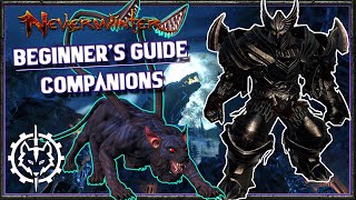 Neverwinter  Beginners Guide Companions [upl. by Eiuqnom993]