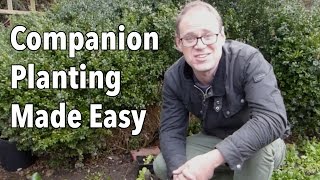 Companion Planting Made Easy [upl. by Veejar]