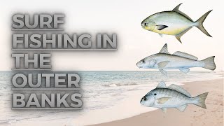 Surf Fishing in the Outer Banks [upl. by Golliner]