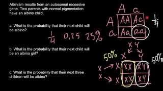 Albinism and law of probability [upl. by Adnahsar]