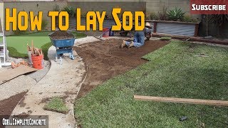 How to Lay SOD StAugustine Grass DIY for Beginners PART 3 [upl. by Ott]