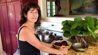 How to Cook Beets without Losing Nutrients [upl. by Gally]