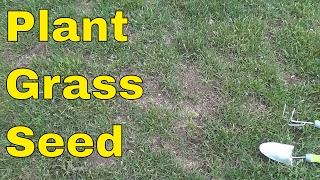 How To Plant Grass SeedFULL Tutorial [upl. by Landers158]