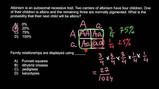 Genetic probability of albinism [upl. by Kall]