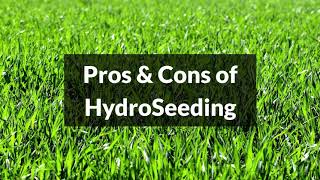 Hydroseeding Pros and Cons [upl. by Ikcim398]