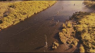 Douglaston Salmon Run  Pulaski NY [upl. by Anegue]