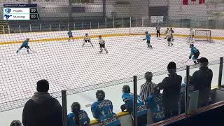 Penticton Knights U13 Tier 1 Hockeys broadcast [upl. by Lemaj]