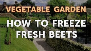 How to Freeze Fresh Beets [upl. by Shiverick568]