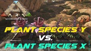 Plant Species Y vs Plant Species X  ARK Scorched Earth [upl. by Daren]