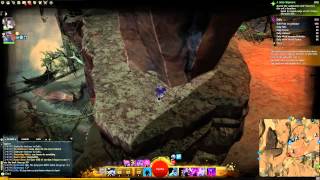 GW2 Dry Top Prospect Valley Jumping Puzzle and Dive Master Guide [upl. by Dory183]