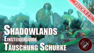 Täuschung Schurke Einsteigerguide Shadowlands World of Warcraft Patch 925 [upl. by Becca560]