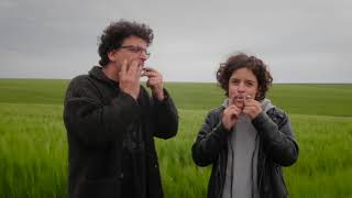 Jews harp in the field [upl. by Onil]