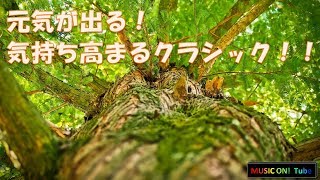 明るく元気が出る！気持ち高まるクラシック集：BGM [upl. by Culbert175]