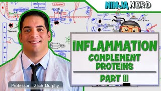 Immunology  Inflammation Complement Proteins Part 3 [upl. by Attener783]