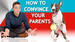 How to Convince Your Parents to Let You Have a Dog [upl. by Valorie]