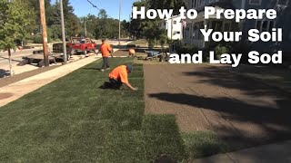 How to Prepare Your Soil and Lay Sod [upl. by Nico]