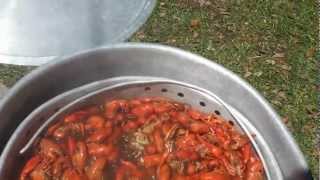 How To Boiling Crawfish Louisiana Style [upl. by Zaob]