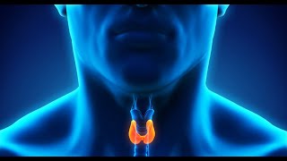 Hashimotos Thyroiditis  PathogenesisMorphology amp Clinical features [upl. by Bailie621]