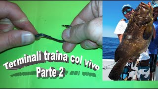 FINALI TRAINA col vivo TUTORIAL Parte II [upl. by Comyns]