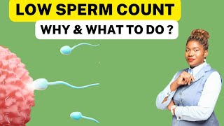 13 Ways To Boost Low Sperm Count Naturally  Oligospermia Treatment [upl. by Saul]