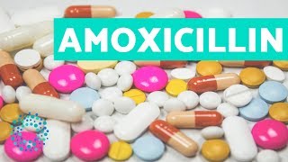 How to Take Amoxicillin [upl. by Dyche354]