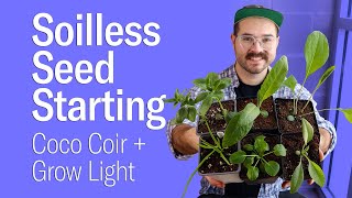 Soilless Seed Starting Indoors • Coco Coir Basics and Results [upl. by Lledyl]