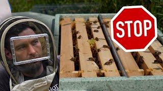 STOP  THIS Is How To Maximise Your Honey Harvest [upl. by Swan]