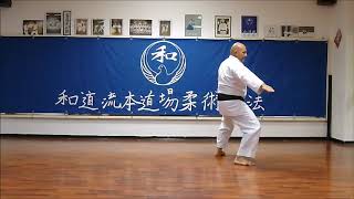 Pinan Nidan  Wado Ryu 2nd Pinan Kata  Wado Ryu Hon Dojo  Karate video [upl. by Ltney]