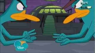 Phineas and Ferb  Platypus Fight HD [upl. by Snyder211]