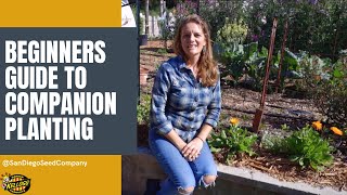 Beginners Guide to Companion Planting [upl. by Angela415]