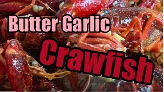 How to Boil Crawfish  Cajun Butter Garlic Crawfish recipe [upl. by Papageno]