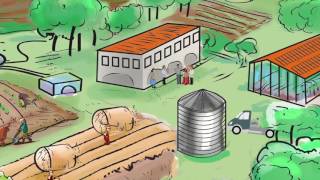 Improved rural urban linkages Building sustainable food systems [upl. by Olsewski805]