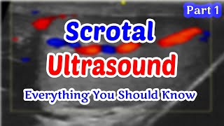 Scrotal Ultrasound Everything You Should Know part 1 [upl. by Anoid]