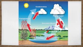 Desalination A Solution for Our Water Needs [upl. by Orsola305]