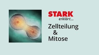 Zwillinge  Formen biologischer Ähnlichkeit [upl. by Ayhay215]