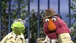 Sesame Street  Kermit and Telly report on cooperation [upl. by Dnamron368]