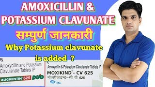 Amoxicillin and Clavulanic Acid  Augmentin  Augmentin Uses Dosage Side Effects amp Precautions [upl. by Naujd]