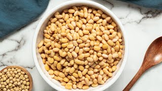 HOW TO COOK DRY SOYBEANS STOVETOP PREPING SOYBEANS FOR OTHER RECIPES [upl. by Nnaed]