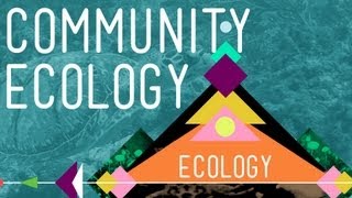 Community Ecology Feel the Love  Crash Course Ecology 4 [upl. by Turino110]