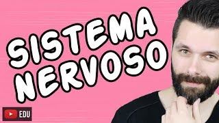 SISTEMA NERVOSO  FISIOLOGIA  Aula  Biologia com Samuel Cunha [upl. by Stig]