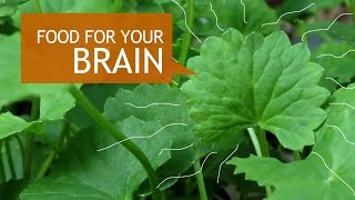 Gotu Kola Superfood Benefits  How To Grow [upl. by Sinnek619]