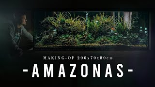 INCREDIBLE 1000L Amazon Aquarium build  XXL Step by Step Tutorial  Planted Tank [upl. by Ayotal]