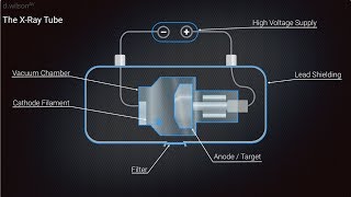 X Ray Production Animation [upl. by Diannne952]