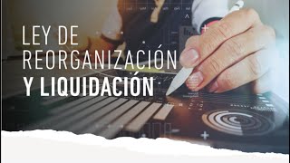 Webinar Análisis de la Ley de Reorganización y Liquidación [upl. by Leiuqeze]