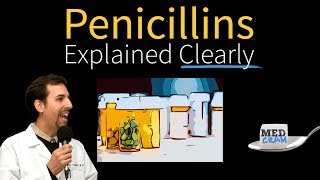 Penicillins  Antibiotics Explained Clearly [upl. by Mela]