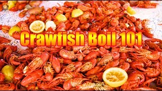 ANNUAL 2019 CRAWFISH BOIL  Basic Crawfish Boil 101 [upl. by Livvie]