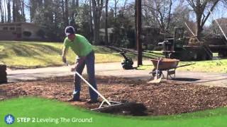 How to lay sod in your yard [upl. by Sully693]