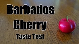 Barbados Cherry Taste Test [upl. by Lionello948]