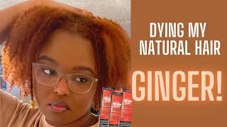 I DYED MY NATURAL HAIR GINGER  COPPER  L’Oréal HiColor  No Bleach [upl. by Sandeep]