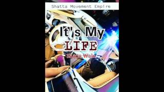 Shatta Wale  Its My Life Sarkodie Diss Audio Slide [upl. by Kingsley276]